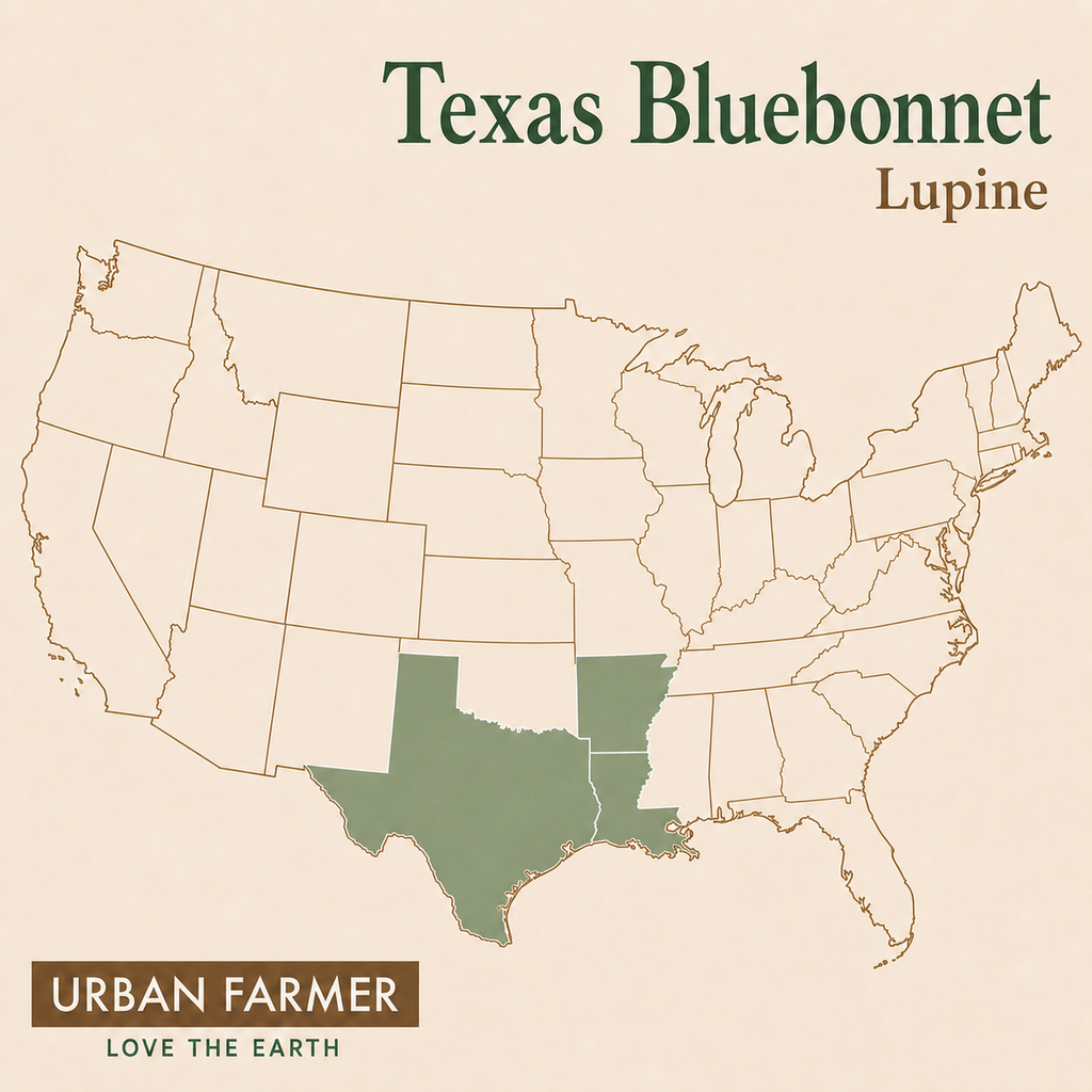 Texas Bluebonnet Lupine native map