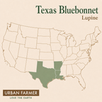 Texas Bluebonnet Lupine native map
