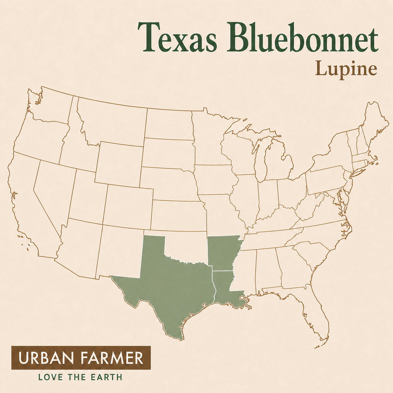 Texas Bluebonnet Lupine native map