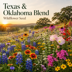 Texas and Oklahoma wildflowers in bloom
