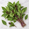 Thai, Basil Seed