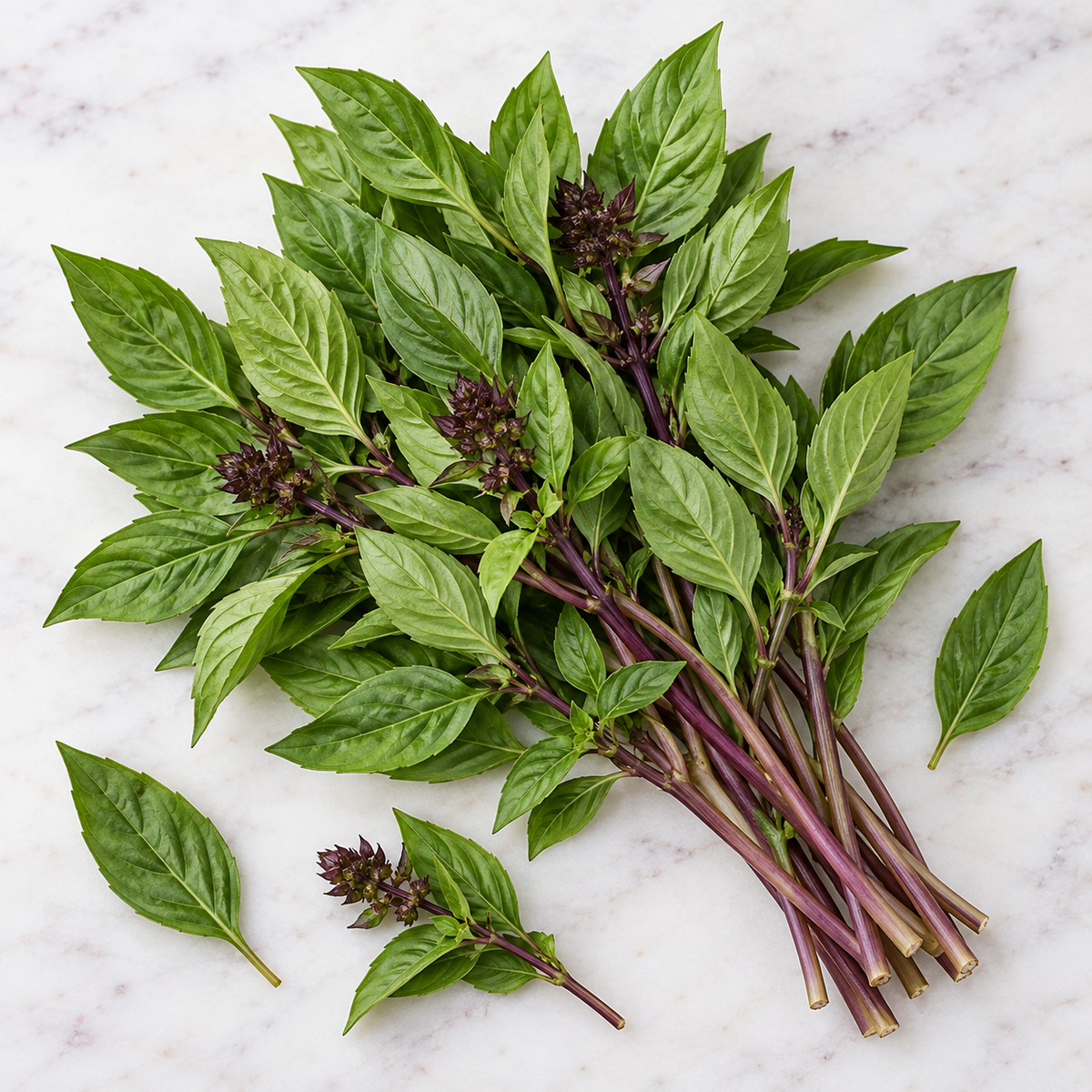 Thai, Basil Seed