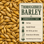 Thoroughbred Barley growing guide and seed