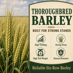 Thoroughbred Barley strong stand benefits