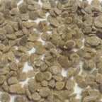 Marion, Tomato Seeds
