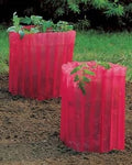 Tomato Teepees, Frost Protection