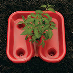 Red Tomato Trays,  Tomato Helpers