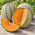 Tuscany, Melon Seeds