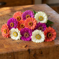 Under the Sea, Zinnia Seeds