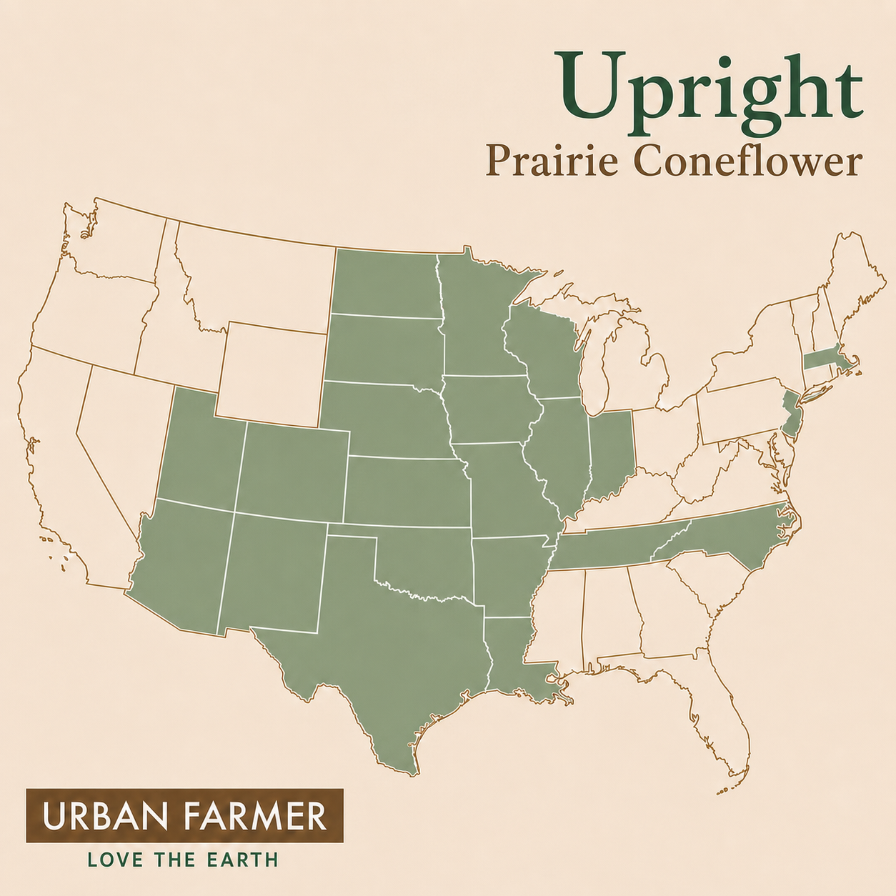 Prairie Coneflower native map