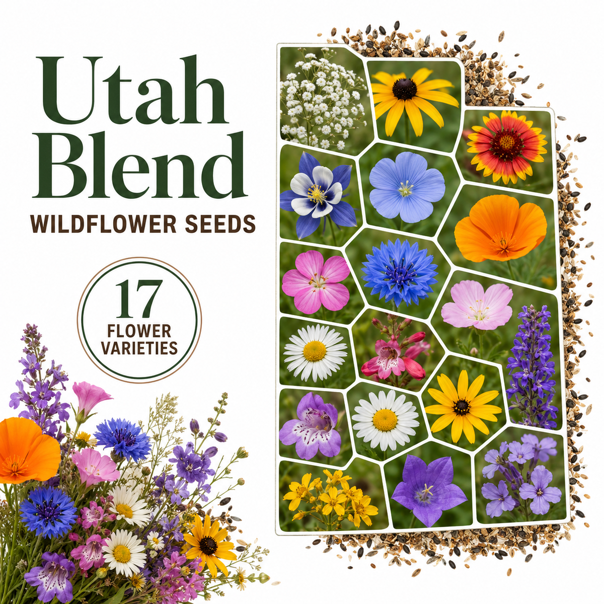 Utah Blend, Wildflower Seed