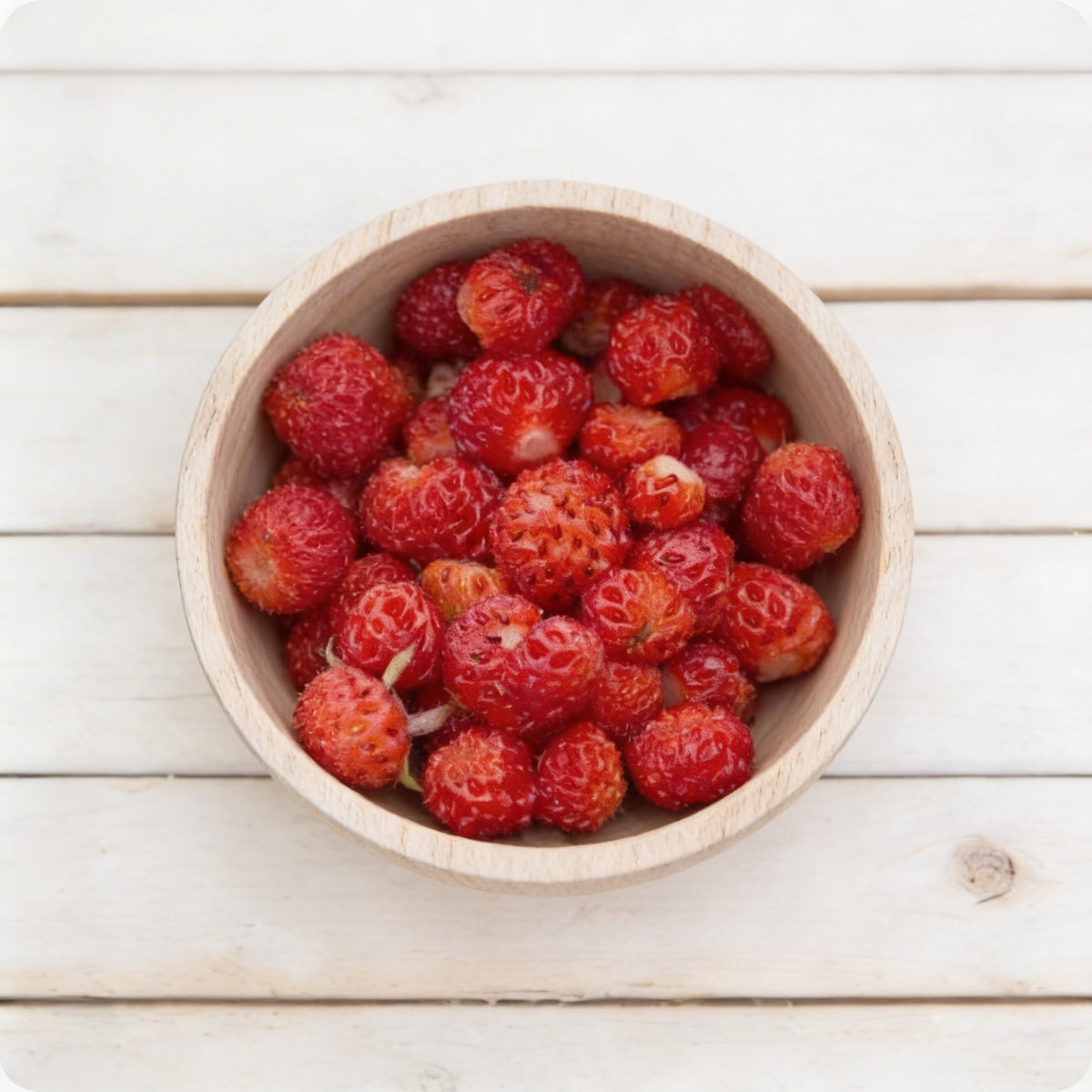 Virginiana, Strawberry Seeds