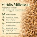 Viridis Milkweed growing attributes