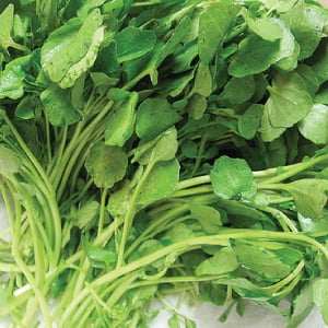 Upland, Cress Seed
