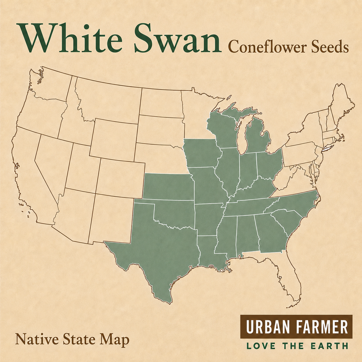 White Swan, Coneflower Seed