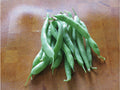Mountaineer White Half Runner, Bean Seeds