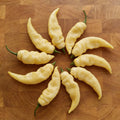 White Bhut Jolokia, Pepper Seeds
