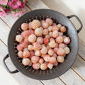 White Carolina Pineberry, Strawberry Roots
