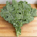 White Russian, Kale Seed