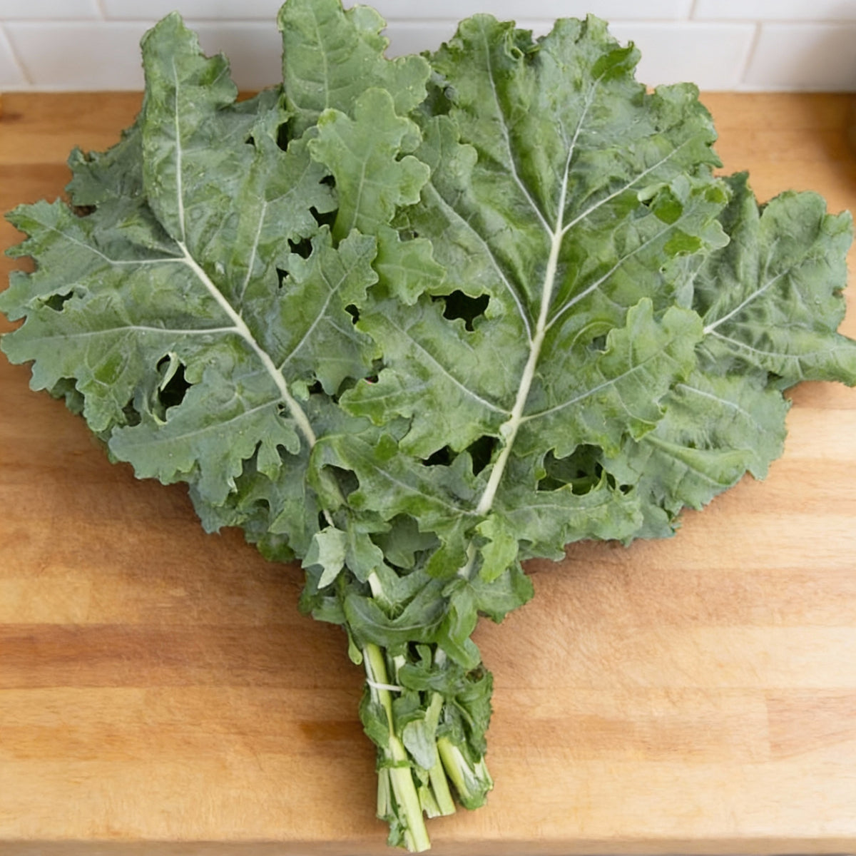 White Russian, Kale Seed