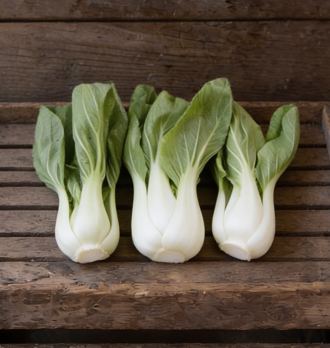 White Stem, Pak Choi Cabbage