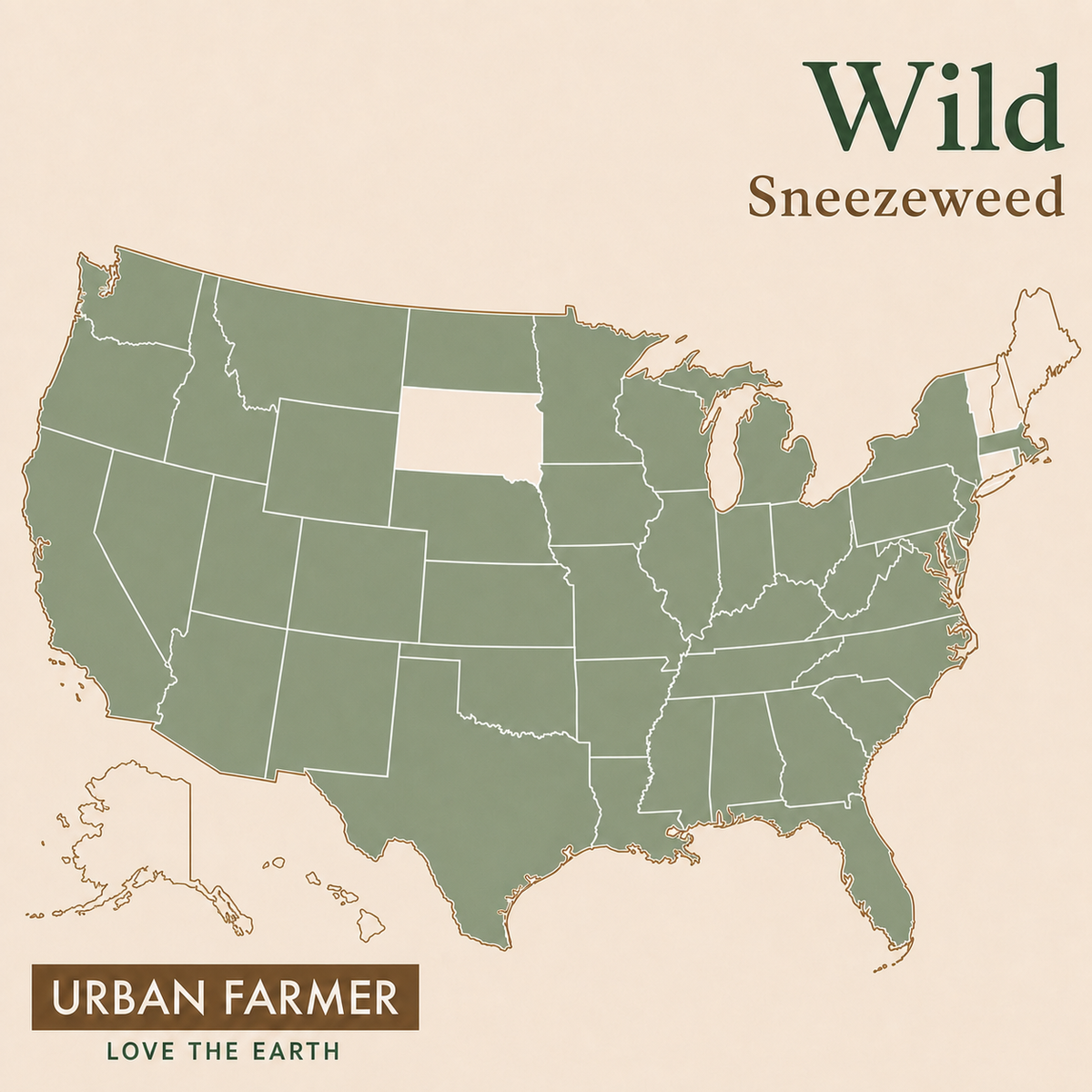 Wild Sneezeweed native map