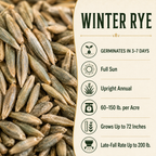 Winter Rye growing guide and seed
