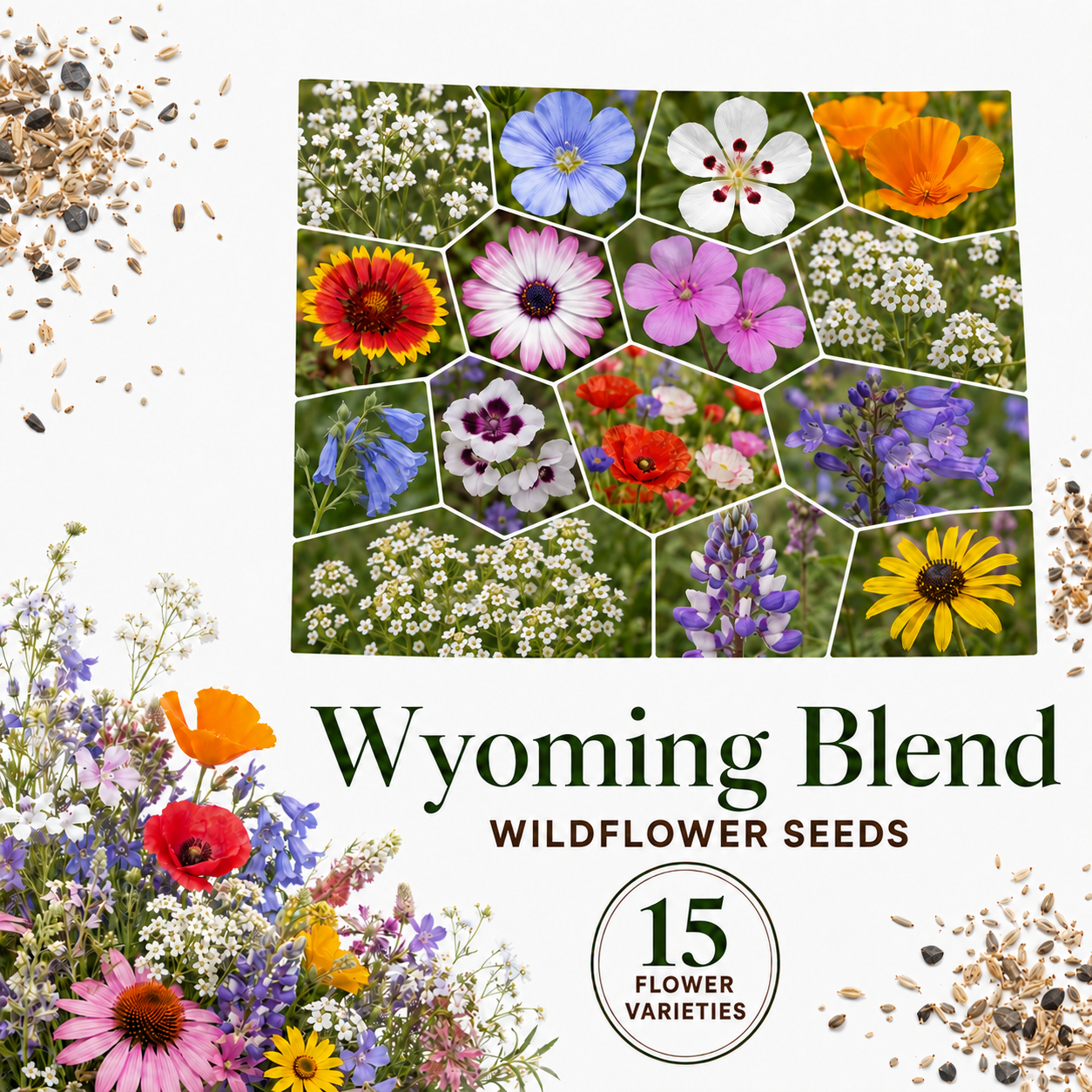 Wyoming Blend, Wildflower Seed
