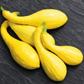 Yellow Crookneck, Squash Seeds
