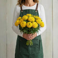 Yellow Inca II, Marigold Seeds