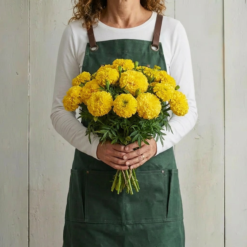 Yellow Inca II, Marigold Seeds