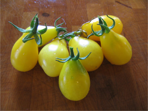 Yellow Pear, Tomato Seeds