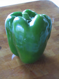 Yolo Wonder, Pepper Seeds