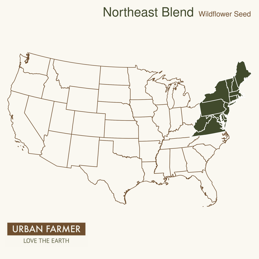 northeast-blend-wildflower-map