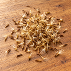 Candy, Stevia Seed