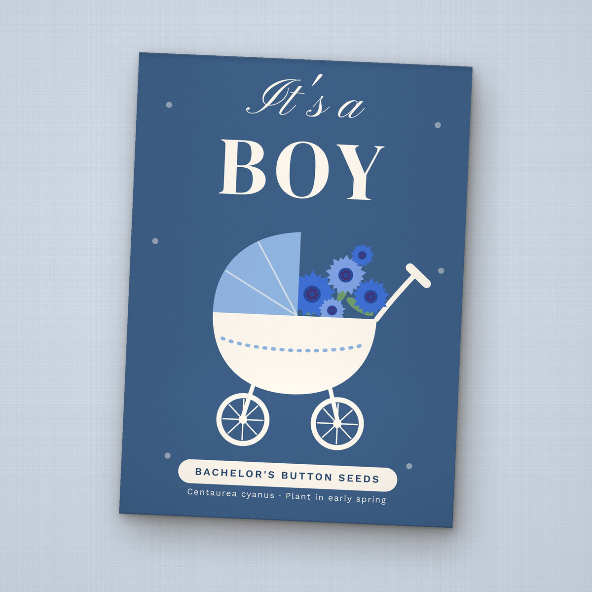 It's a Boy! seed packet favor, front