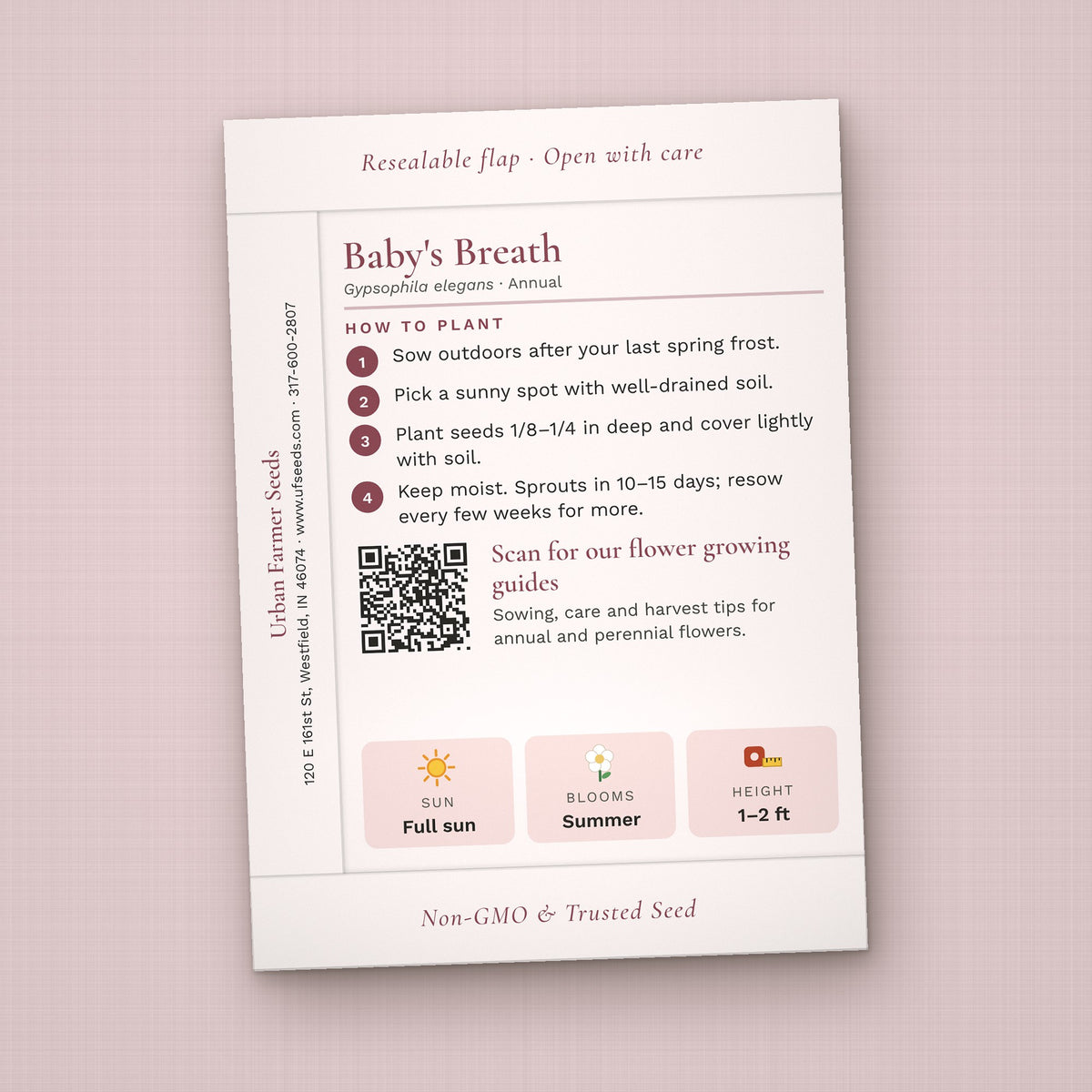 Happily Ever After Starts Here seed packet favor, back with planting instructions