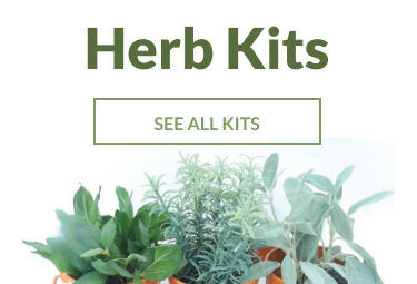 Order Herb Kits