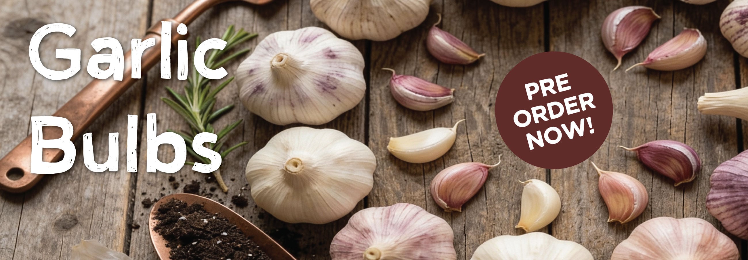 Garlic Bulbs