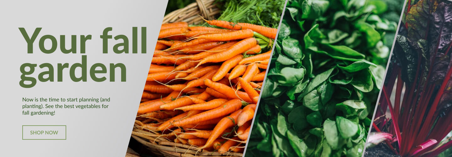 Urban Farmer Seeds, Plants and Garden Supplies