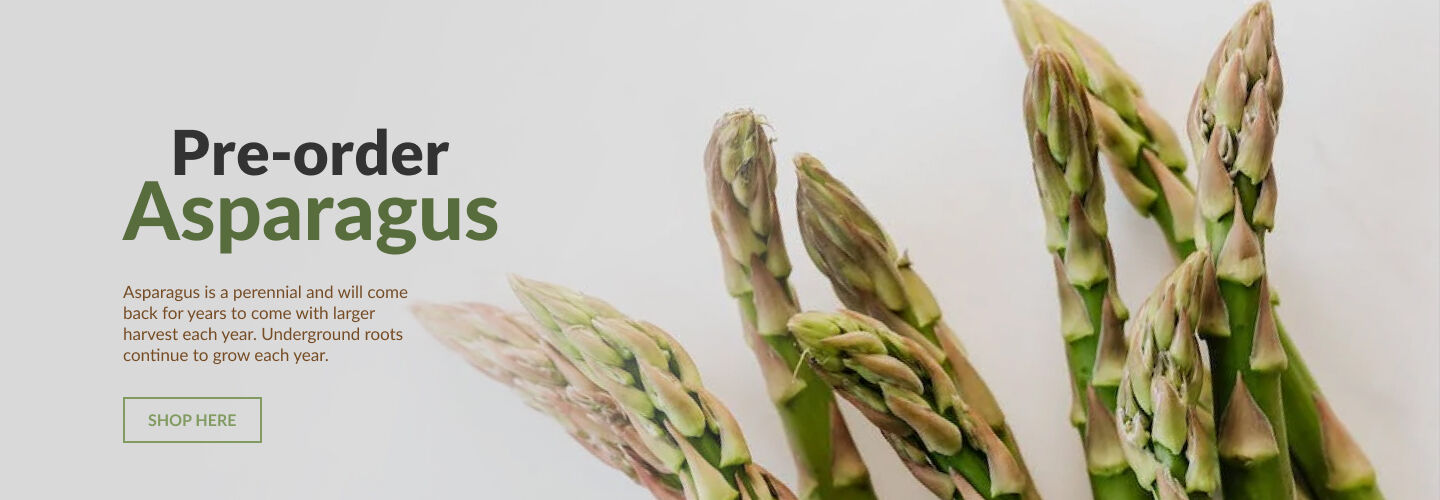 pre-order Asparagus