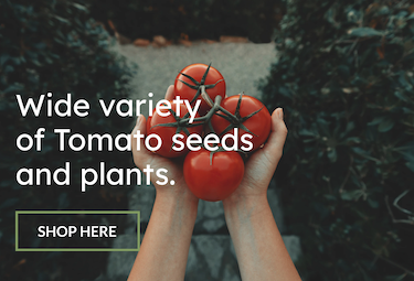 Urban Farmer has a wide variety of tomato seeds and plants