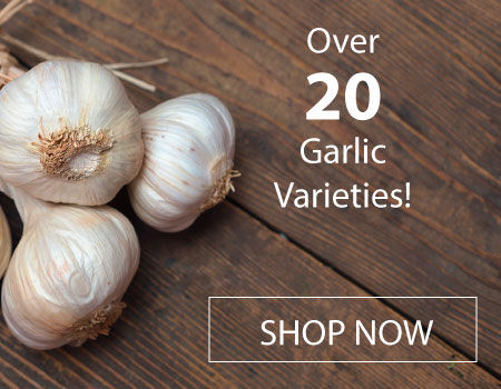 Urban Farmer | Seeds, Plants and Garden Supplies Urban Farmer | Seeds, Plants and Garden Supplies