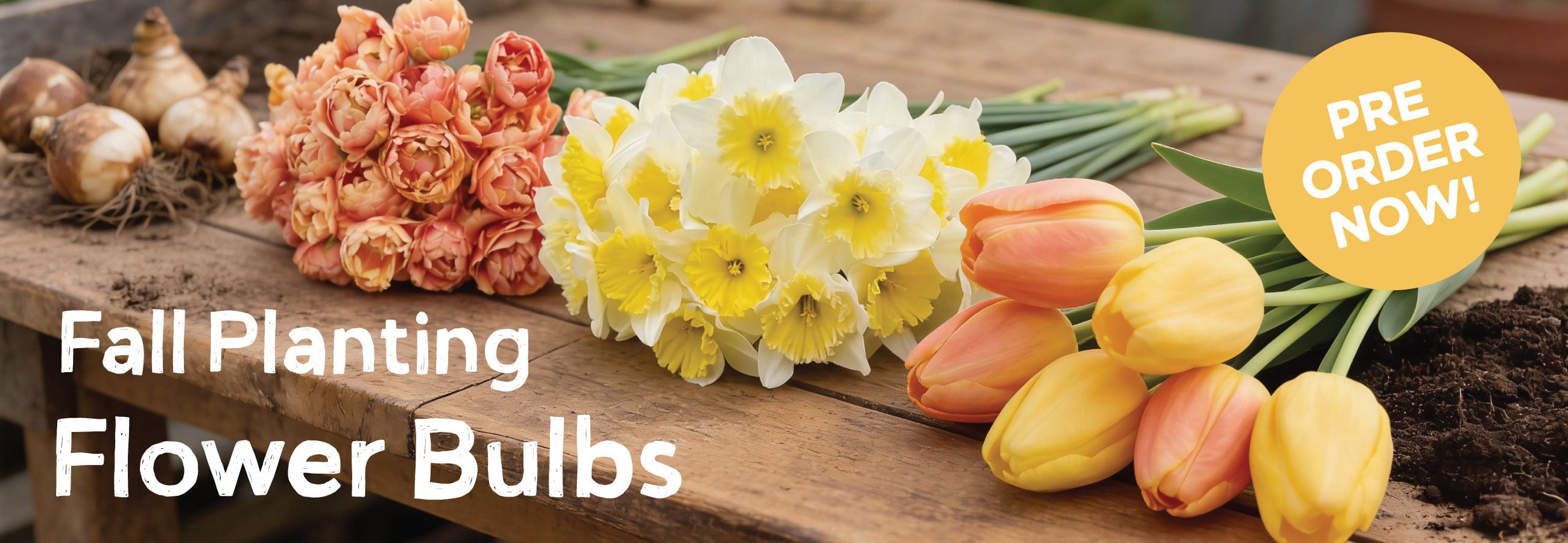 Fall Planting Flower Bulbs