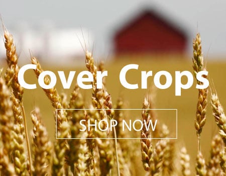 Cover Crop Seed