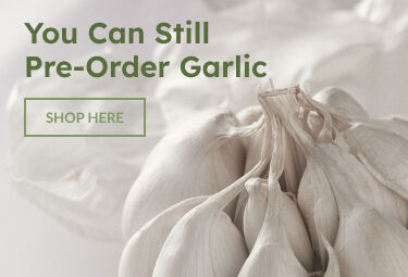 You can still pre-order Garlic