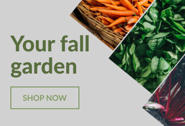 Your Fall Garden