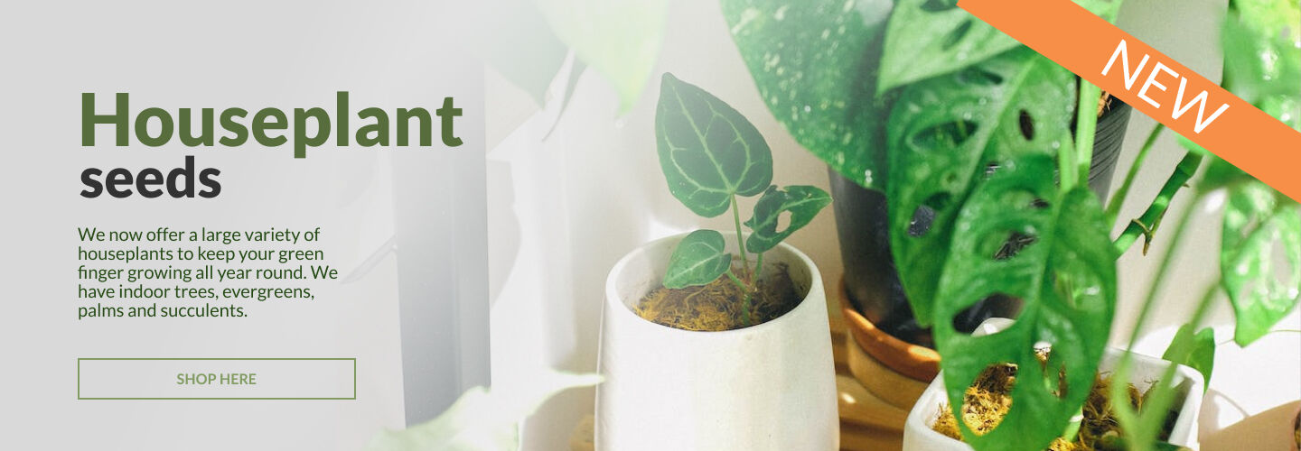 Shop Houseplants Seeds