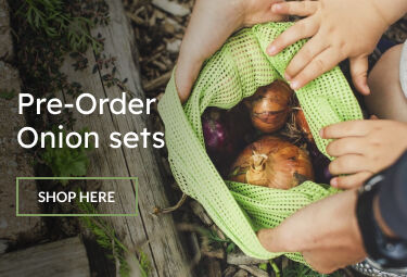 Pre-Order Onion sets