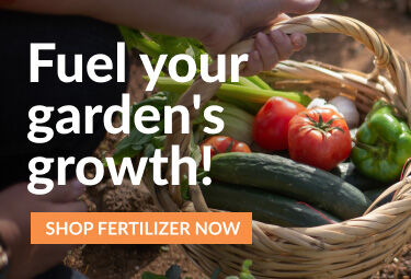 Fertilizers